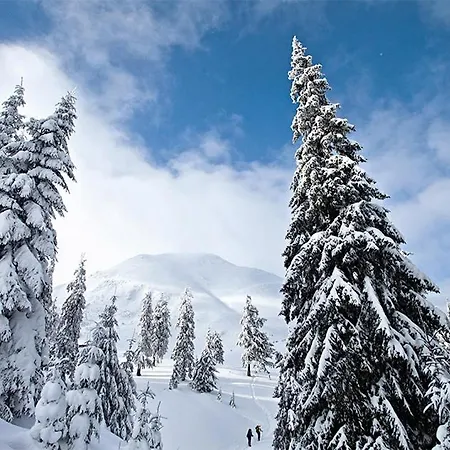 Ferienhaus кубаново